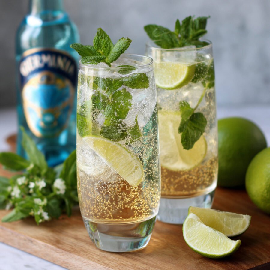 Hugo Spritz Cocktail Recipe – The Refreshing Italian Drink You Need This Summer 15 Hugo Spritz Cocktail Recipe